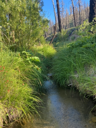 All the way back down to Fish Creek.
