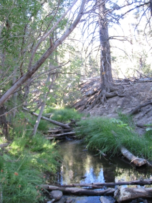 There was still plenty of water flowing and small creeks to cross.
