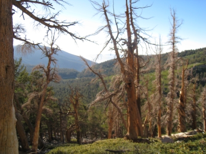 A great late afternoon view as we head back down the Sky High trail.