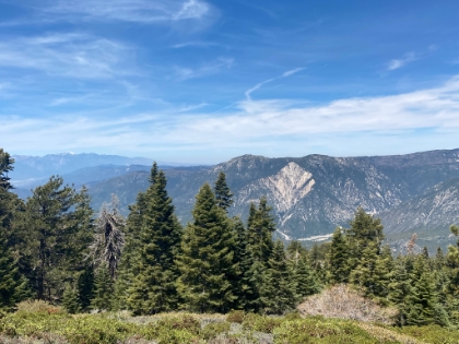 Nice views of the valley and Mt. Baldy in the distance.