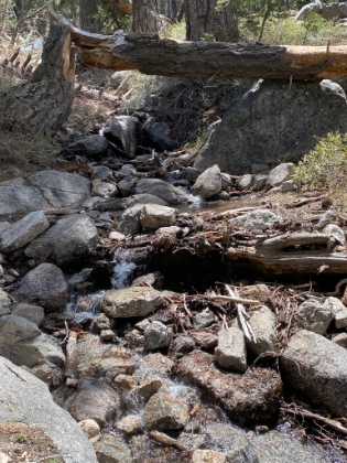 Made it down to Columbine Springs. Another nice little hidden gem of a spot.