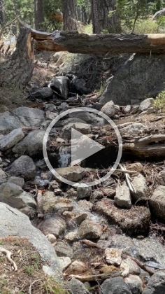 Video of the creek.