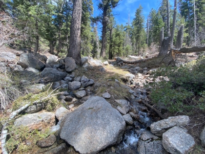 Heading back now. Next I'll try the offshoot to Johns Meadow and Forsee Creek.