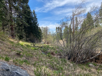 Made it to Johns Meadow. Small but nice.