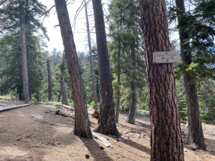 Looks like a nice backpacking camp.