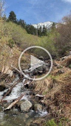 Video of the creek.