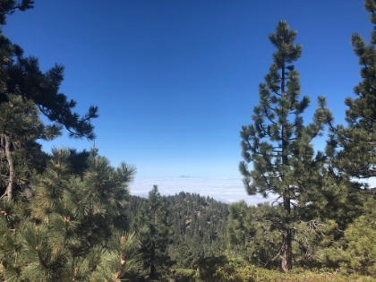 A view of Santiago poking through the marine layer.
