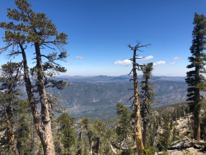 View of Big Bear Lake.