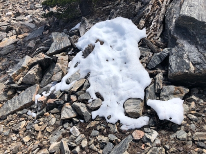 The only patch of snow I would walk across all day. At about 10,600'.