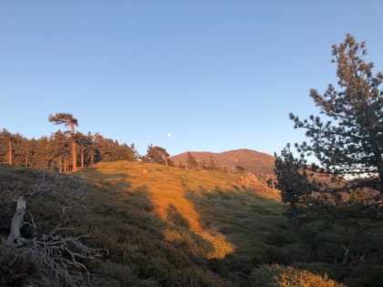 The pinkish light of sunset opposite the full moon in a clear blue sky over San Bernadino Peak.