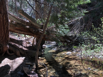 Alger Creek near the Alger Creek backpacking campsite.