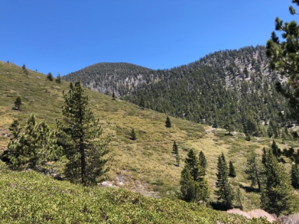 Getting ready to cross Plummer Meadows.