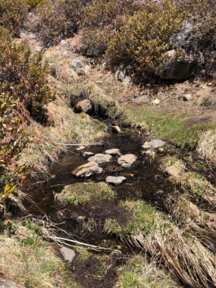 Great to see water still flowing in several places.