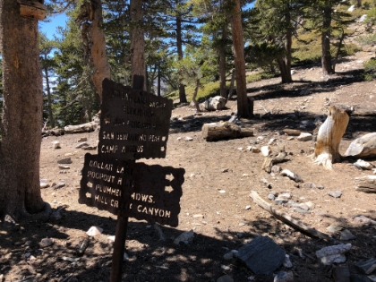 Dollar Saddle. The Momyer trail joins-up with the South Fork trail here, which recently re-opened. I came across a group on their way down South Fork. They were wearing pretty heavy winter gear, it must be colder on top than it is here at 10,000'.