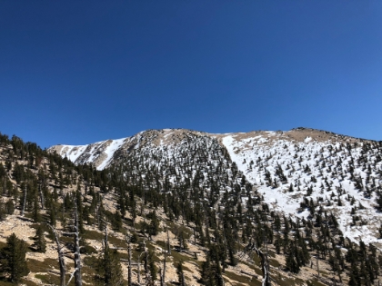 More snow as I get closer to the top. As soon as you pass over Dollar Saddle, you're on the windy side of the ridge, and the temperature drops quick!