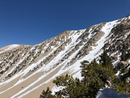 There are some great bowls around here.