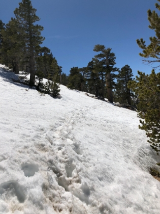 Starting to hit some good sized snow patches now.