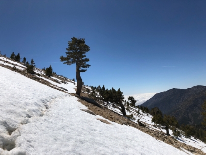 Fortunately, there are already tracks dug in or else some of these traverses would be dicey with only trail running shoes on.