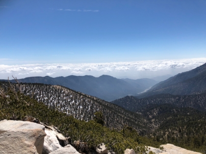Looking down at the Mill Creek valley far below.