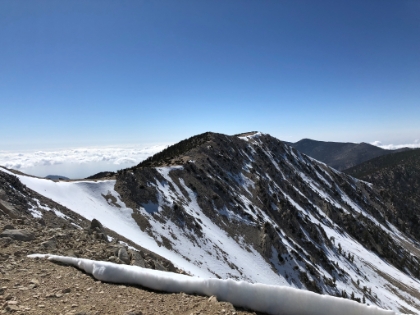 Another amazing bowl.