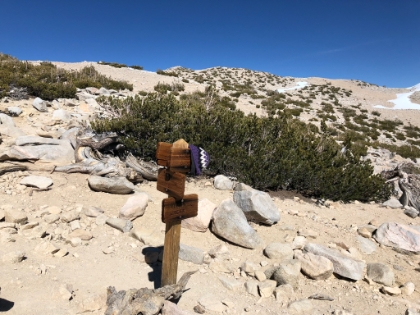 Now joining with the Vivian Creek trail. It's late enough in the day that I don't see anyone else.