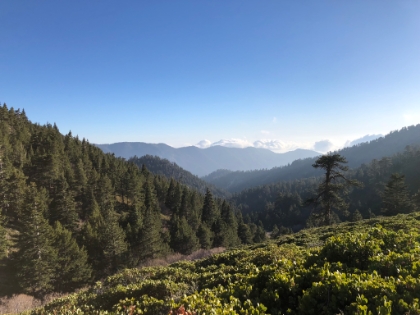 Nice lighting as I head back down across Plummer Meadows.