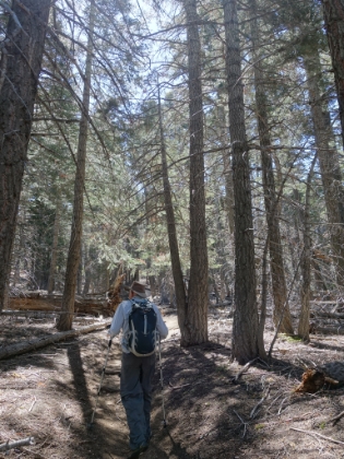 We hit the trail right around 9:00am. The climb starts quick, but the trail is beautiful, soft singletrack with lots of tree cover.
