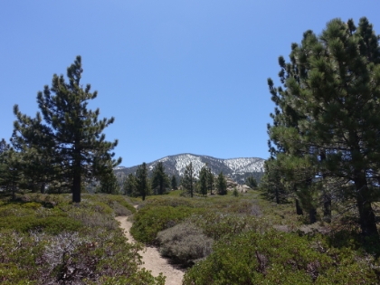 The peaks getting closer slowly but surely.