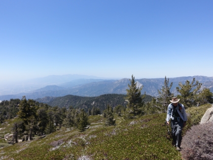 Dad making his way through the Manzanita.