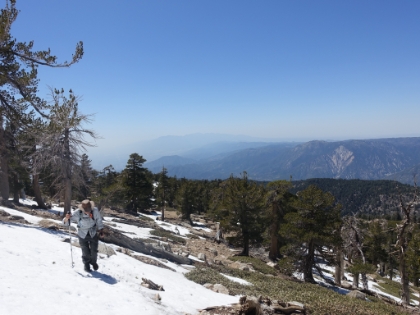 The pace starts to slow a bit as the snow patches get bigger. Once we pass Limber Pine Camp, Dad decides to call it a day. He graciously agrees to wait and let me try to summit. There's still over 1,200' of climb to the summit, and given the increasing snow, I'm not sure if I'll make it. But I defintiely want to give it a try...