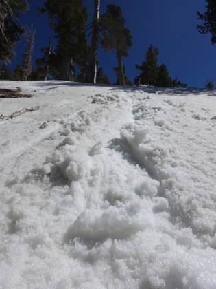 The conditions quickly alternate from post-holing, to slush, to ice depending on tree cover etc. Here I was attempting a traverse across an exposed, icy hillside and ate it. I ended-up in an out-of-control slide and actually had to self arrest with my trekking poles! Here's looking back up at my skid marks maybe 20' up the hill. Fortunately, the hill bottomed out not too far below, so the chance of anything going seriously wrong was low, but it definitely got my adrenaline going!
