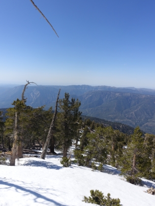 I had long ago given-up on following the route of the real trail. I had climbed-up a creek ravine that, according to the topo map, pointed towards the summit. Here's a look down the slope that I'm climbing. As usual, the photo doesn't convey just how steep it is.