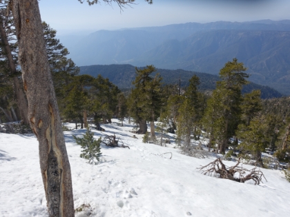 Heading back down now. As usual, the photo doesn't convey how steep this is. I'm hauling full speed to get back in time, heel stomping in the steep soft sections, while practically skiing down the icier sections. But fortunately I was able to follow my tracks almost the entire way back, only losing them briefly a few times.