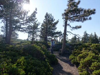 The sun is starting to get low across the chapparal as we head back down.