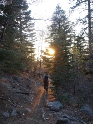 I always love the colors of the early evening sun filtering through the forest.
