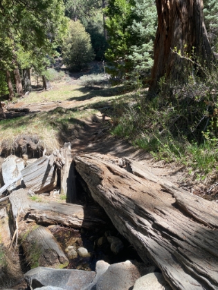 The creek crossing here seems to get more and more built-up every time I'm here. It's going to be a full bridge soon.