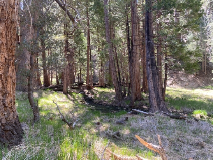 Not as green as usual this time of year, but always beautiful.