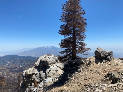 I had never scrambled out this outcropping before, so I decided to today.