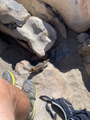 That's close enough dude...