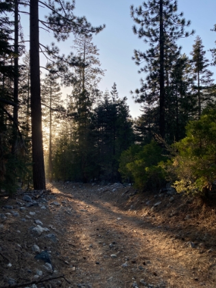Cruising down the fireroad as the sun is getting low. End to another tough, but fun day on Gorgonio.