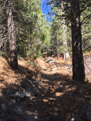 Much easier to follow than Seven Pines but still plenty rugged.