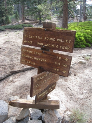 From the main junction on the Deer Springs trail, I took the popular Little Round Valley trail on the way up, and the less traveled, but more amazing Wellman trail on the way back.