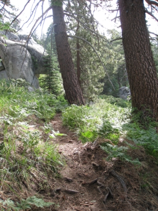 Who says there is no good trail running in Southern CA?