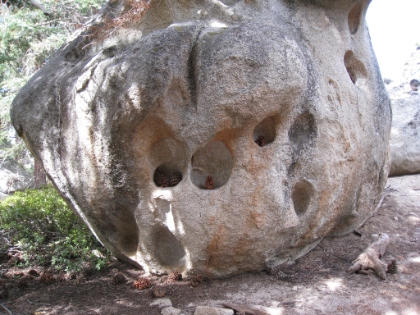 This is actually a huge rock. I'm not sure how the holes formed there.