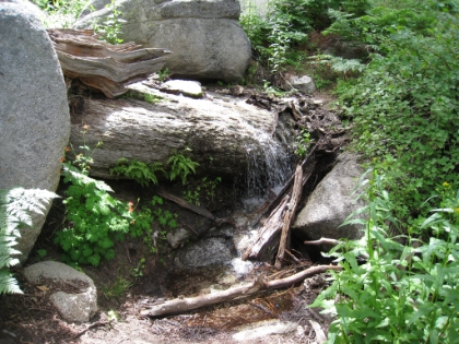 Too bad this picture doesn't have sound.