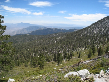 On the way down, I took the Wellman Trail route. Deer Springs was such an awesome trail, I was really afraid I would regret taking this other route. It sounded like it was less popular, so I figured it was less popular for a reason. Lesson learned: don't just stick to the popular trails!