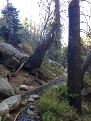 Great single track coming-up the Devil's Slide trail with water on the trail late in a very dry year.