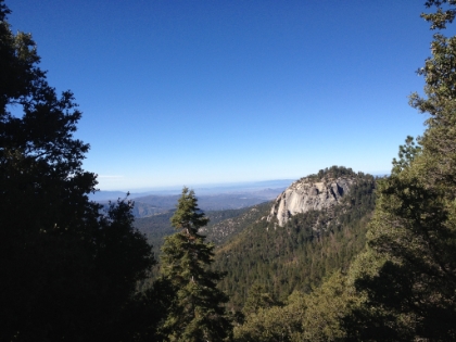 Beautiful morning views.