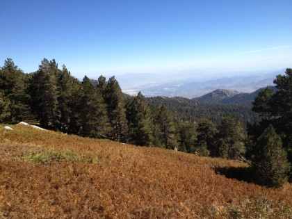 This was solid green last time, but it still looks cool in brown.