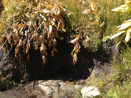 The dripping waterfall. Just as much water as last time. Definitely must be spring fed.